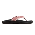 Coral Rose / Pa'i - Olukai - Women's 'Ohana