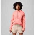 Alpenglow, Gem Columbia Sleeve - Columbia - Women's Columbia Trek Graphic Hoodie