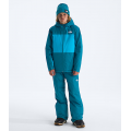 Dusk Blue/Meridian Blue - The North Face - Boys' Freedom Insulated Jacket