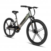 Chameleon 1.0 by Rambo Bikes in Ephrata PA