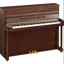 B2 PAW by Yamaha Music in Freehold NJ