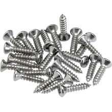 Pickguard/Control Plate Mounting Screws (24) (Chrome) by Fender Guitars