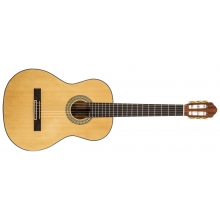 Delta Woods CNS-1 Classical Nylon String Guitar by Peavey