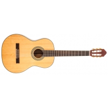 Delta Woods CNS-2 Classical Nylon String Guitar by Peavey