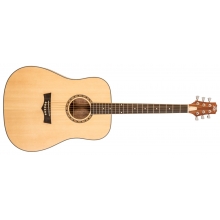 Delta Woods DW-1 Acoustic Guitar with Bag