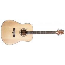 Delta Woods DW-2 Solid Top Dreadnought Acoustic Guitar with Case by Peavey