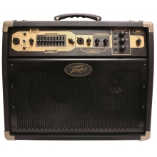 Ecoustic E110 Acoustic Guitar Amplifier with Footcontroller