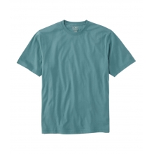 Carefree Unshrinkable T Shirt Without Pocket  Short-Sleeve Men's Regular by LL Bean Brand in Spring TX