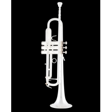 Bach Trumpet in B Flat BTR411S by Conn Selmer