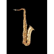 Selmer Tenor Saxophone in B Flat STS511C by Conn Selmer