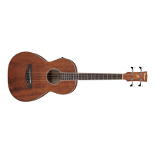 Acoustic, Electric Bass Guitar, Open Pore Natural by Ibanez in Spring TX