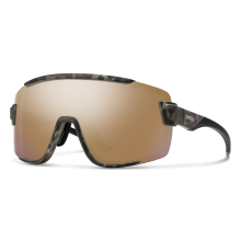 Wildcat by Smith Optics in Decatur IL