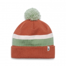 Tech Pom Beanie by Black Diamond