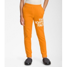 Boy's Camp Fleece Jogger by The North Face