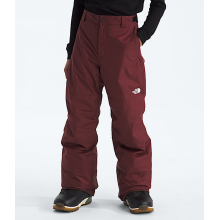Boys' Freedom Insulated Pant by The North Face in Loma Linda CA