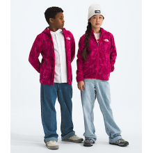 Teen Glacier Full Zip Hoodie-Print by The North Face