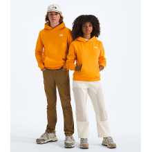 Teen Evolution Simple Dome Pullover Hoodie by The North Face