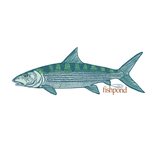 Fishpond - Phantom Sticker- 6"