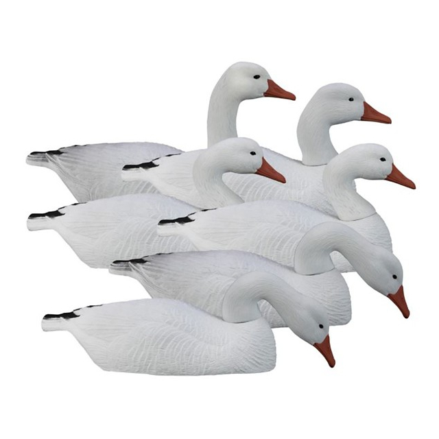 Higdon - Full Size Half Shell, Snow (6pk) in Springfield IL