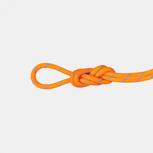 Mammut - 8.7 Alpine Sender Dry Rope