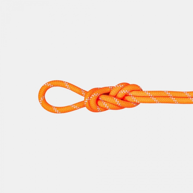Mammut - 9.5 Alpine Dry Rope