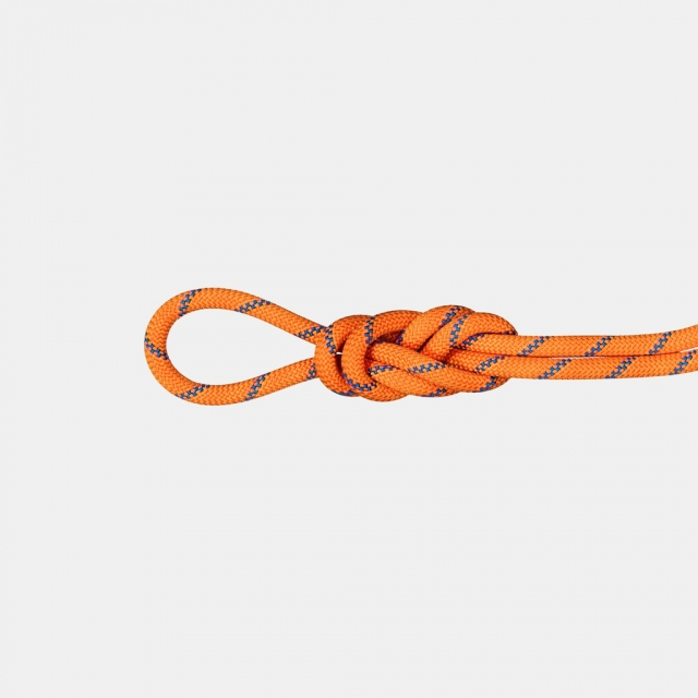 Mammut - 9.0 Alpine Sender Dry Rope