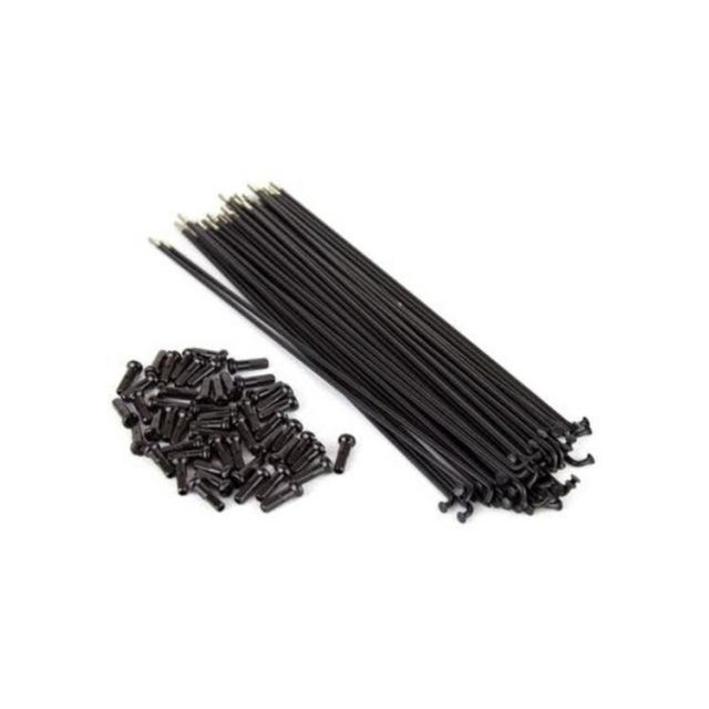 Tall Order - Double Butted Spokes