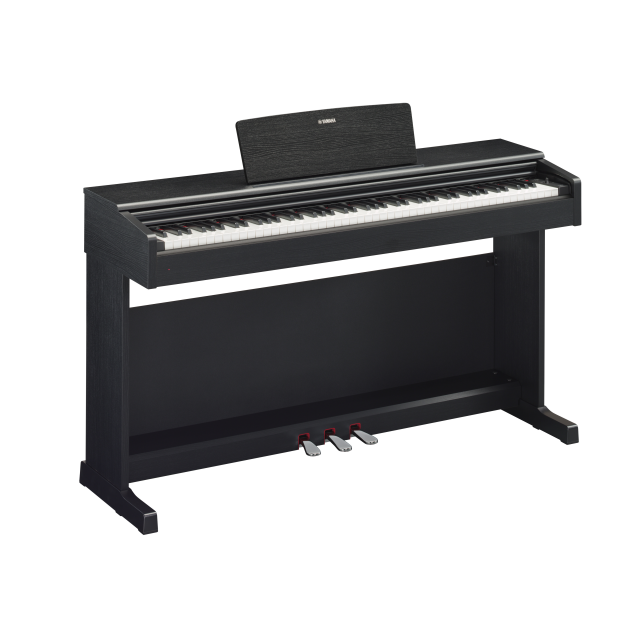 Yamaha Music - YDP144B