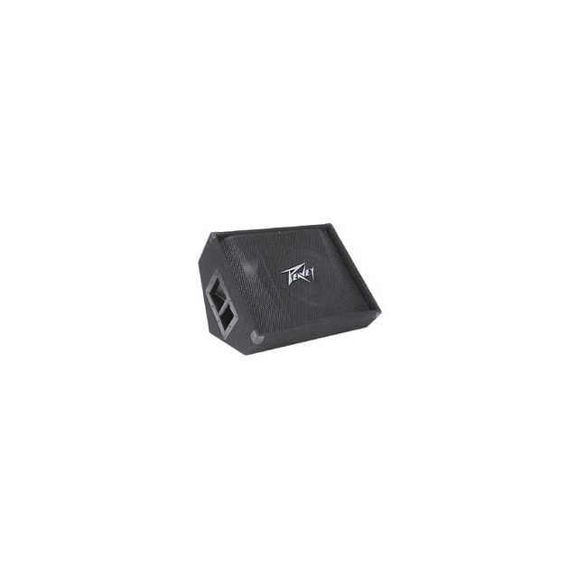 Peavey - PV 12M 2-Way Floor Monitor