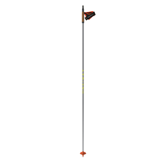 Fischer Skis US - Storm 6