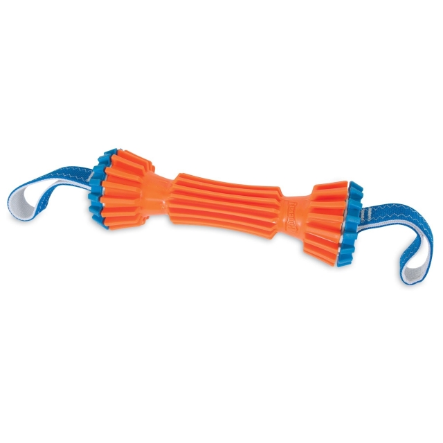 Petmate - Chuckit! Rugged Bumper Dog Toy in Marysville OH