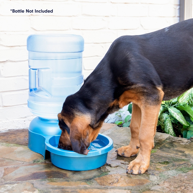 Petmate - Big Blue Bowl
