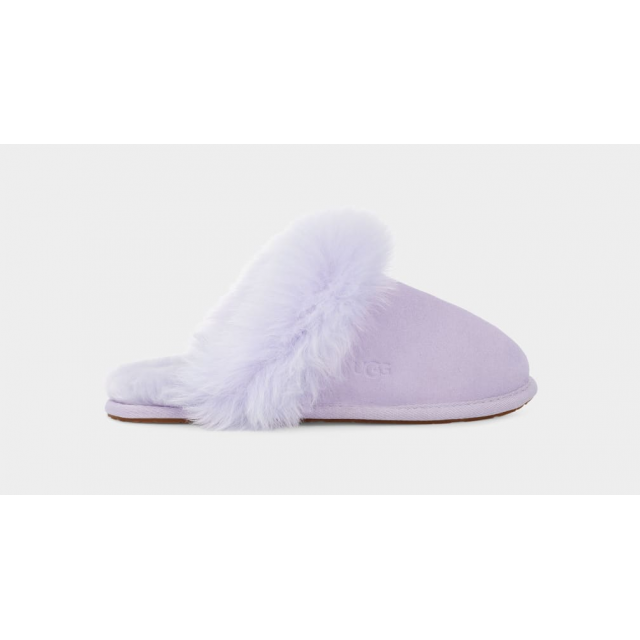 UGG - Women's Scuff Sis in Sinking Spring PA