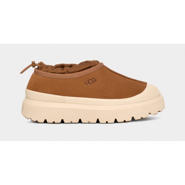 UGG - Men's Tasman Weather Hybrid in Spring TX