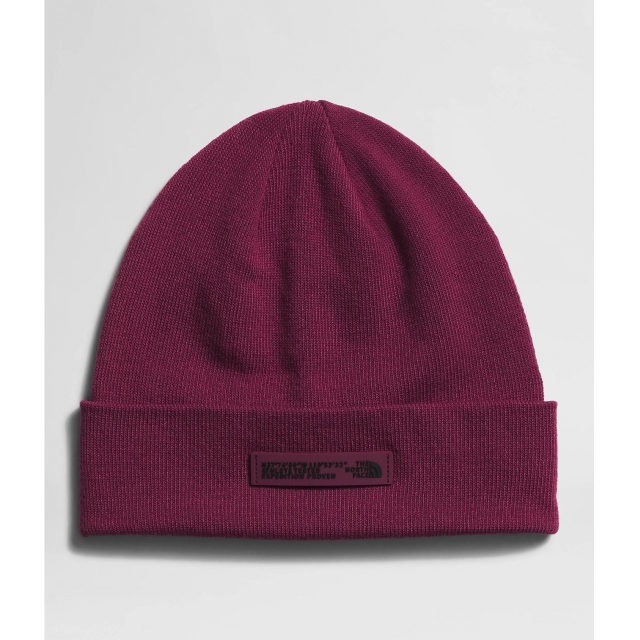 The North Face - Dock Worker Recycled Beanie in Apache Junction AZ
